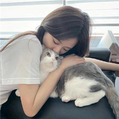 猴子捞月
